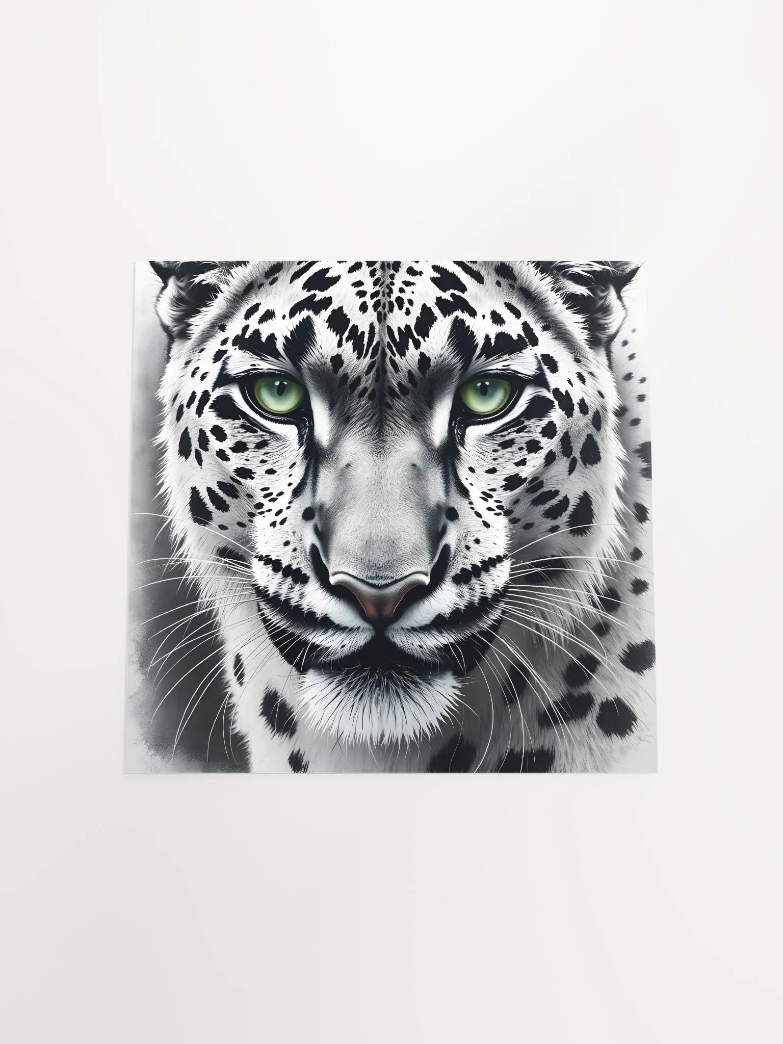 Snowleopard product image (18)