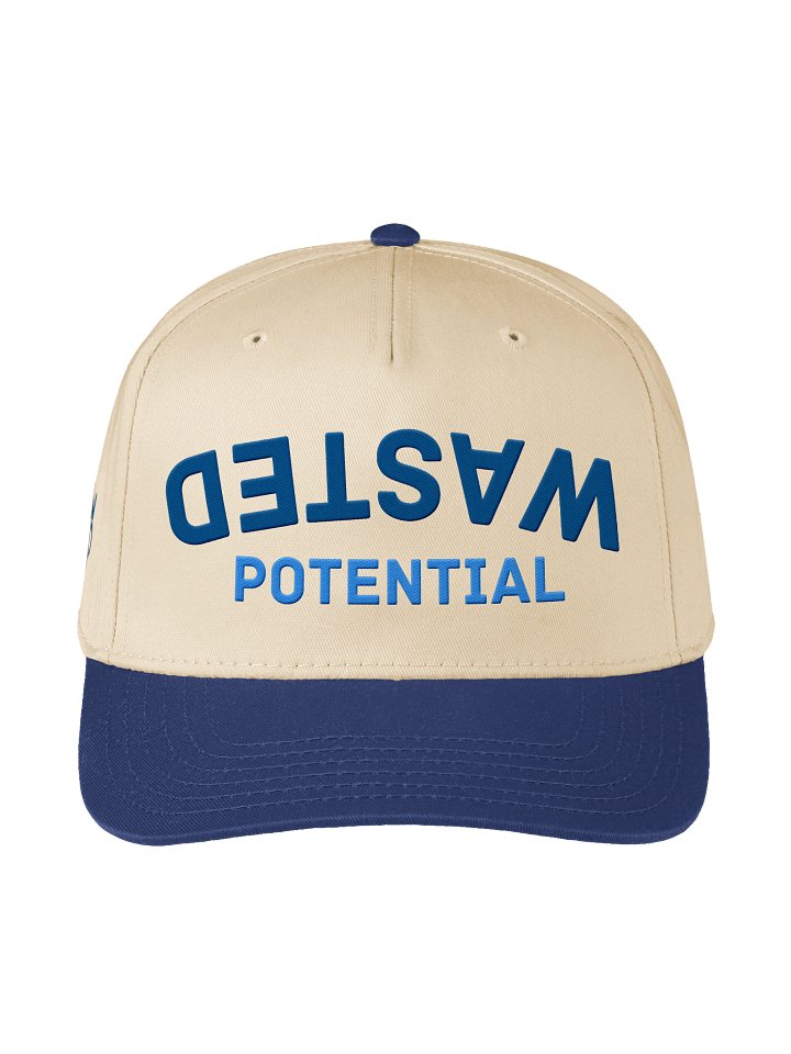 Upside Down Wasted Potential Hat product image (1)