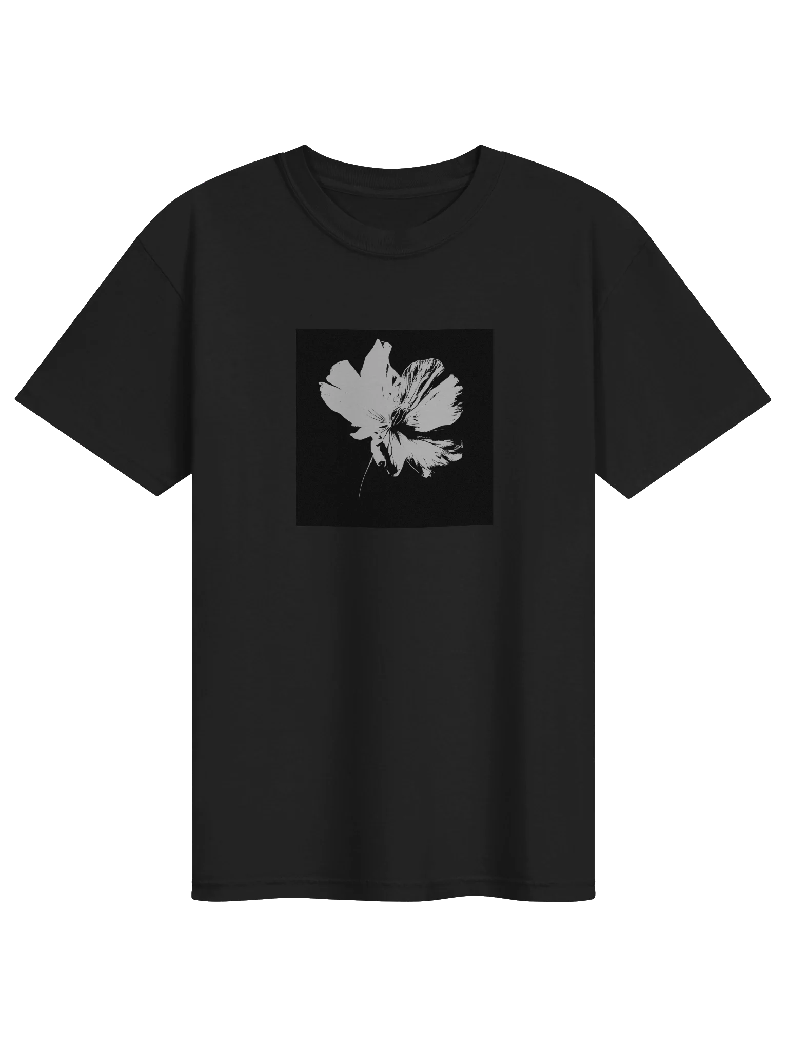 White Cranesbill Geranium
