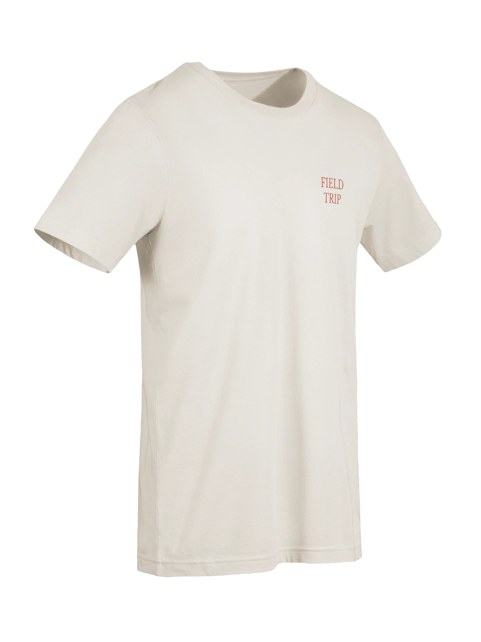 Field Trip Logo tee product image (7)