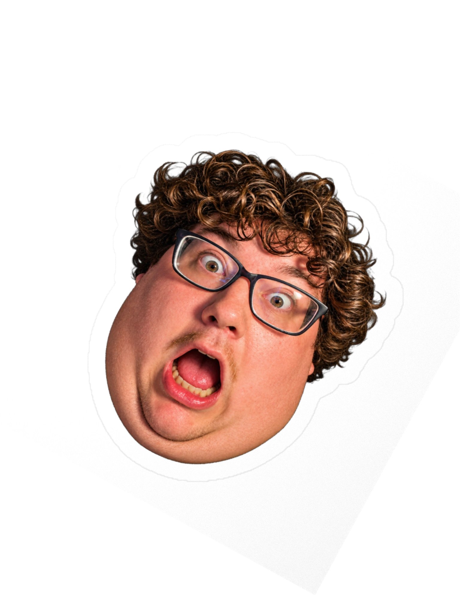 FEESH STICKER product image (6)