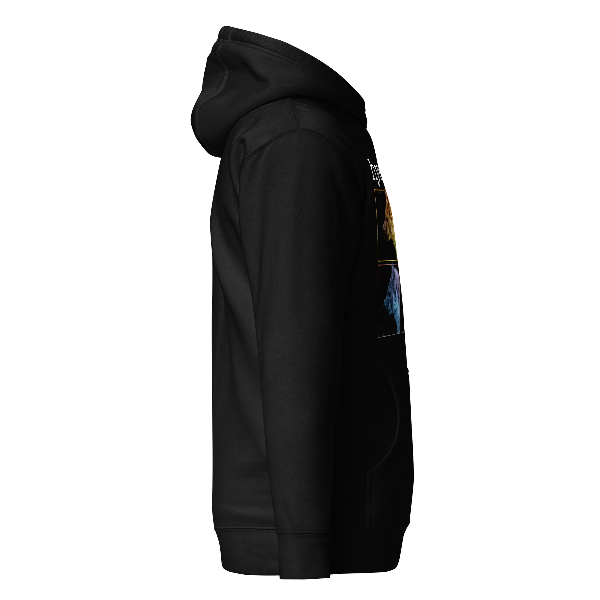 "hyena." Pop Art Hoodie product image (4)