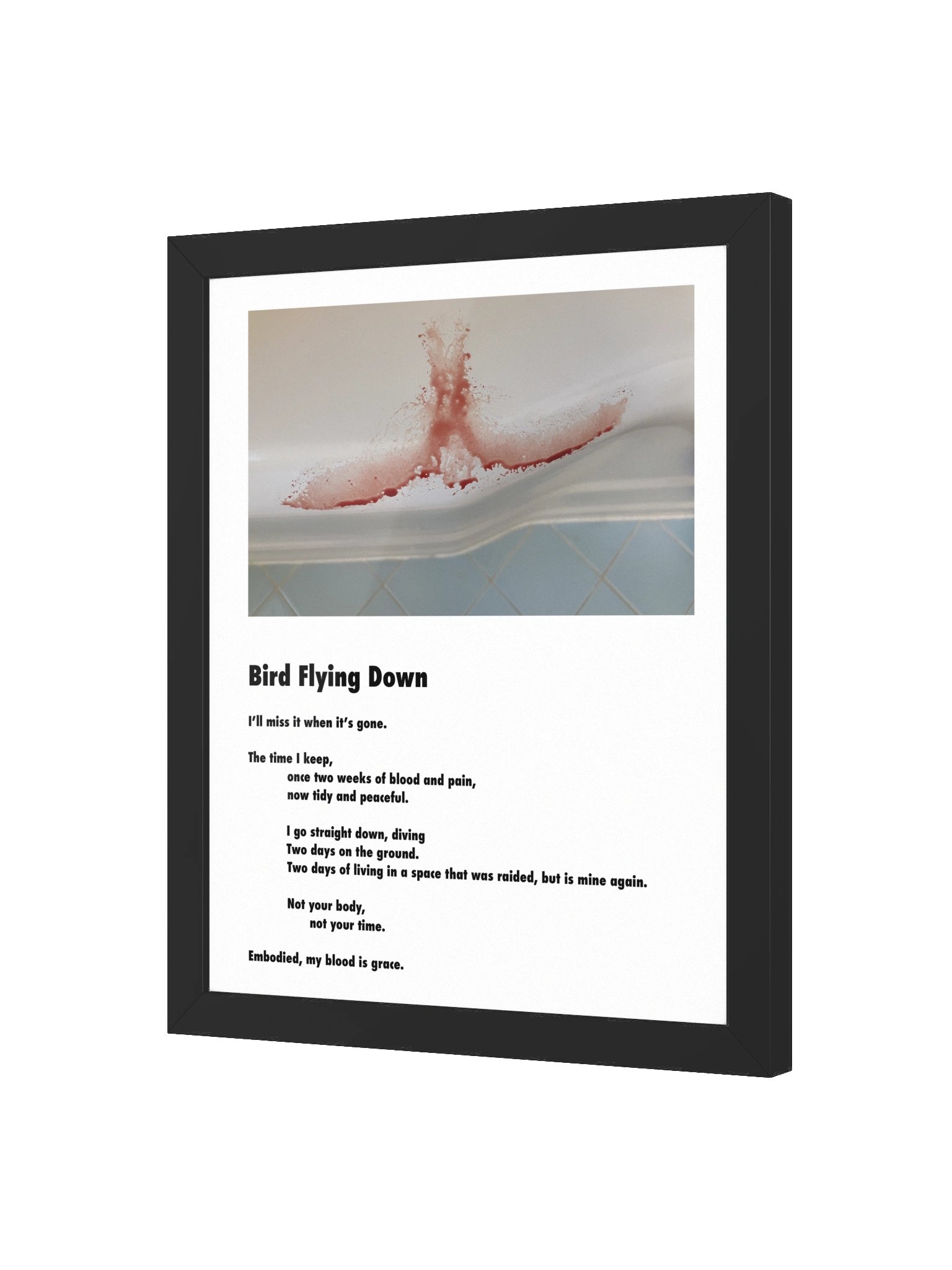 Bird Flying Down, Framed Poster product image (2)
