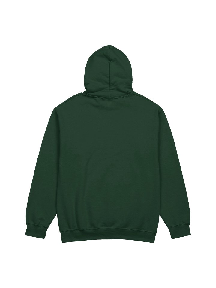Challenger Approaching - Gildan Classic Hoodie product image (10)