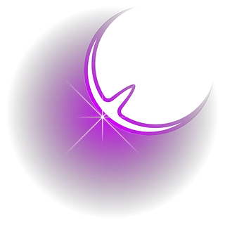 Eclipse Networks | Shop