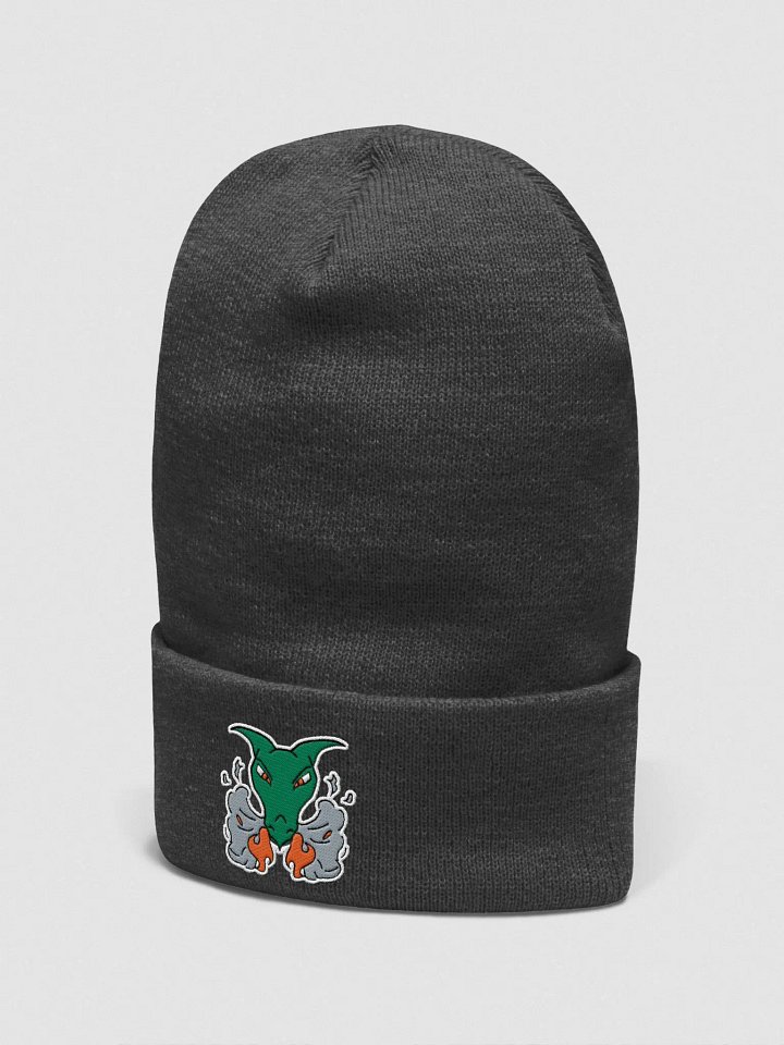 skull rage beanie product image (7)