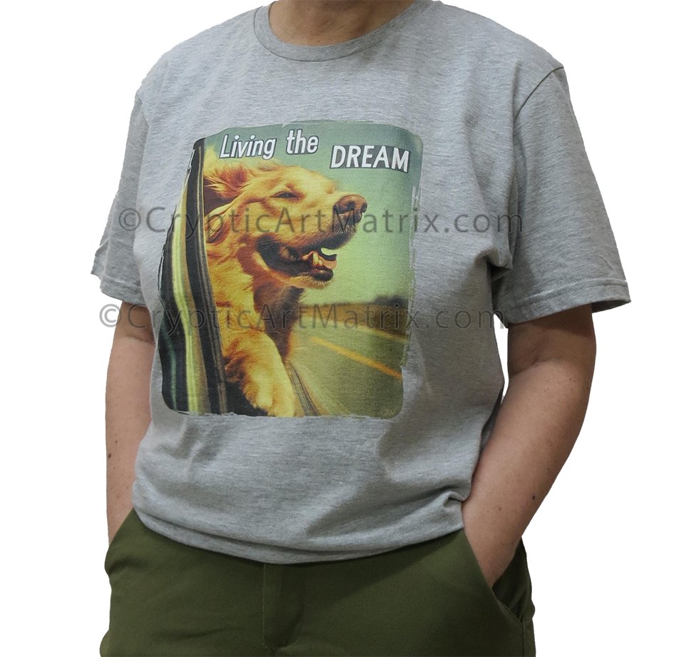 Dream Chaser Living the Dream - Unisex T-Shirt product image (25)