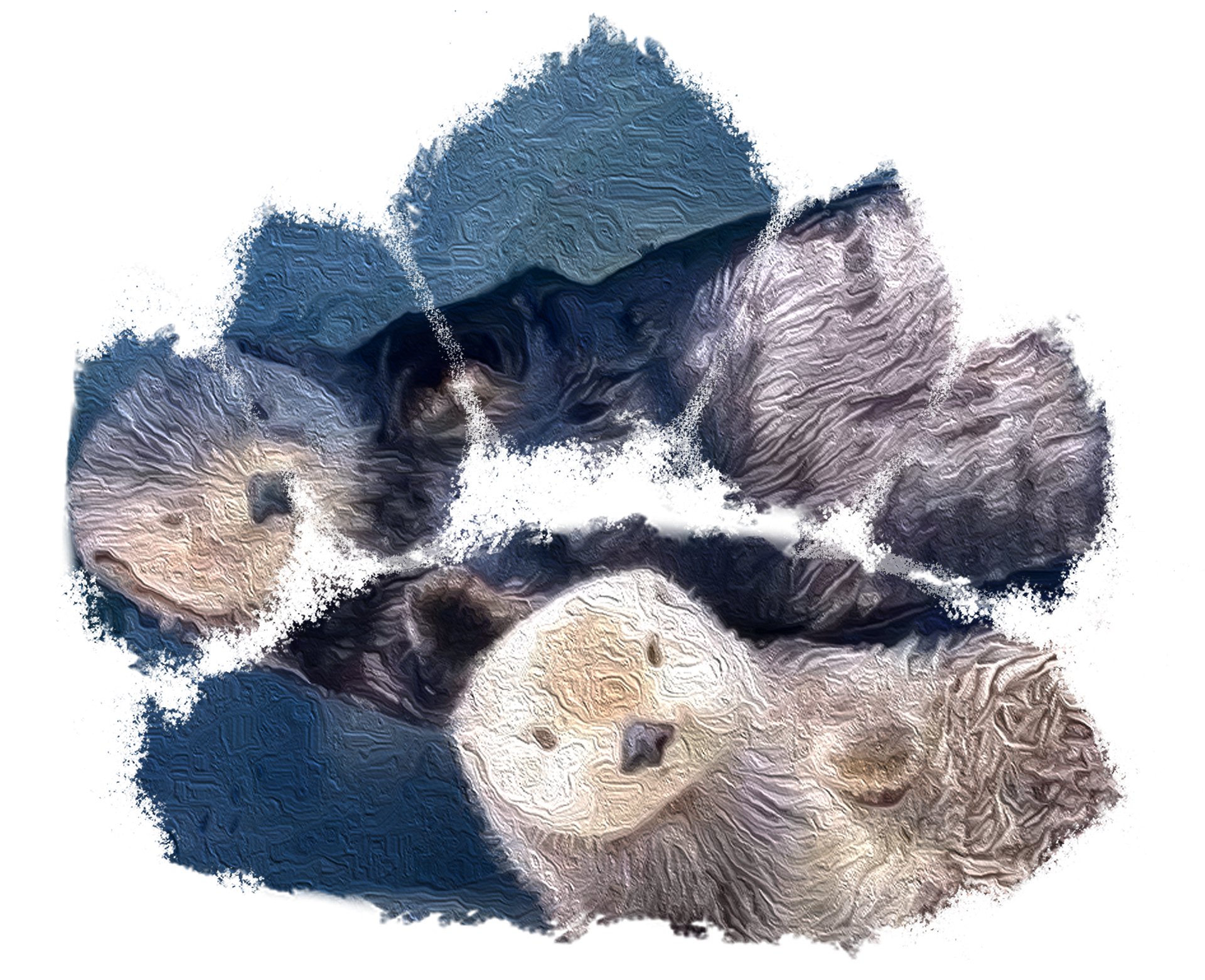 About Otters Classic Tee product image (7)