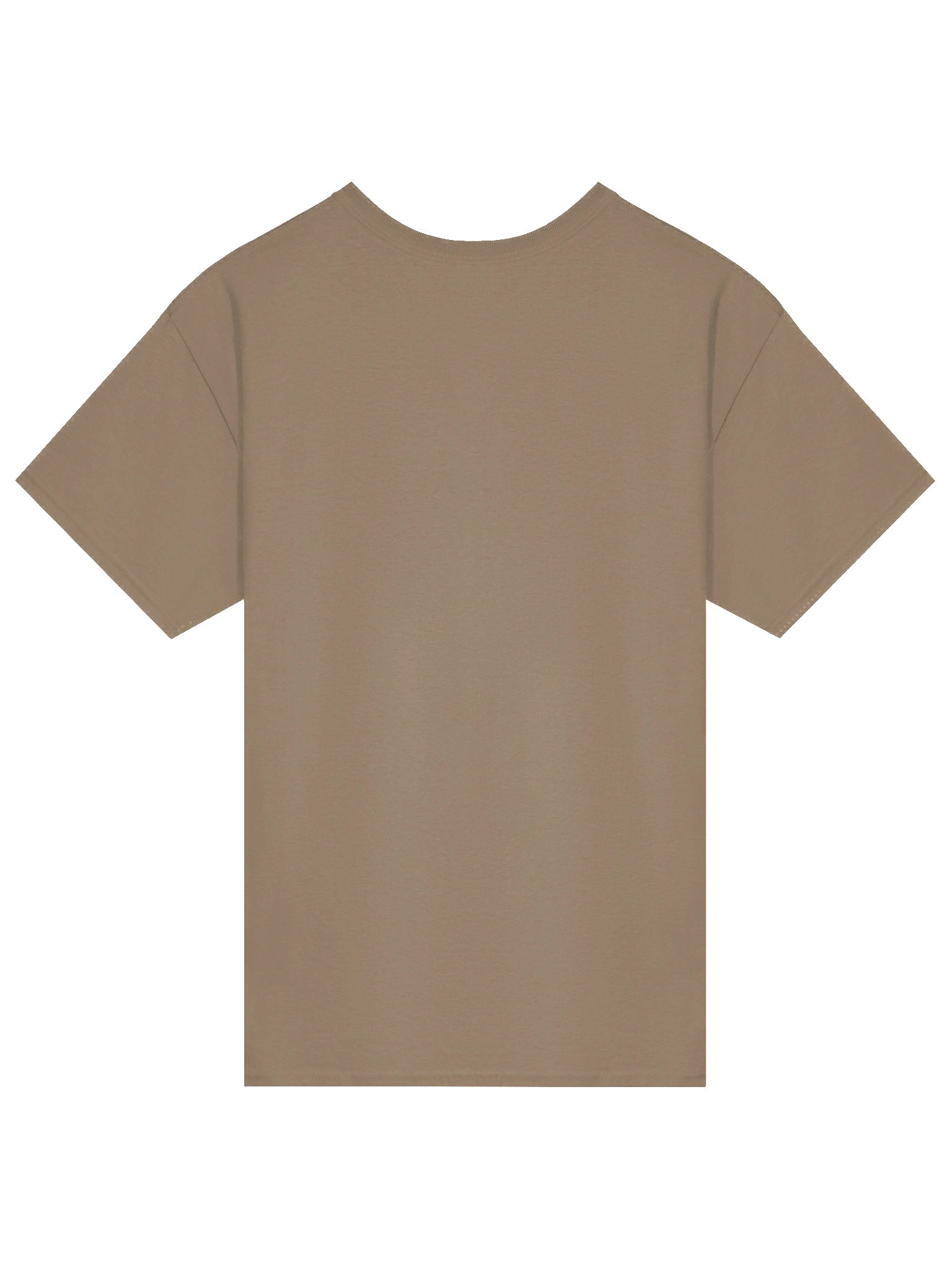 New Creation in Christ (2 Corinthians 5:17) - Gildan Heavyweight T-Shirt product image (2)