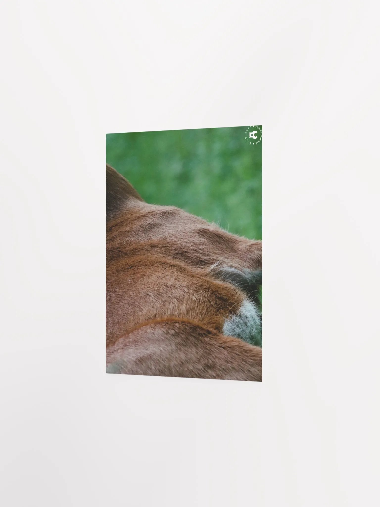 Wild Fur Print Poster product image (9)