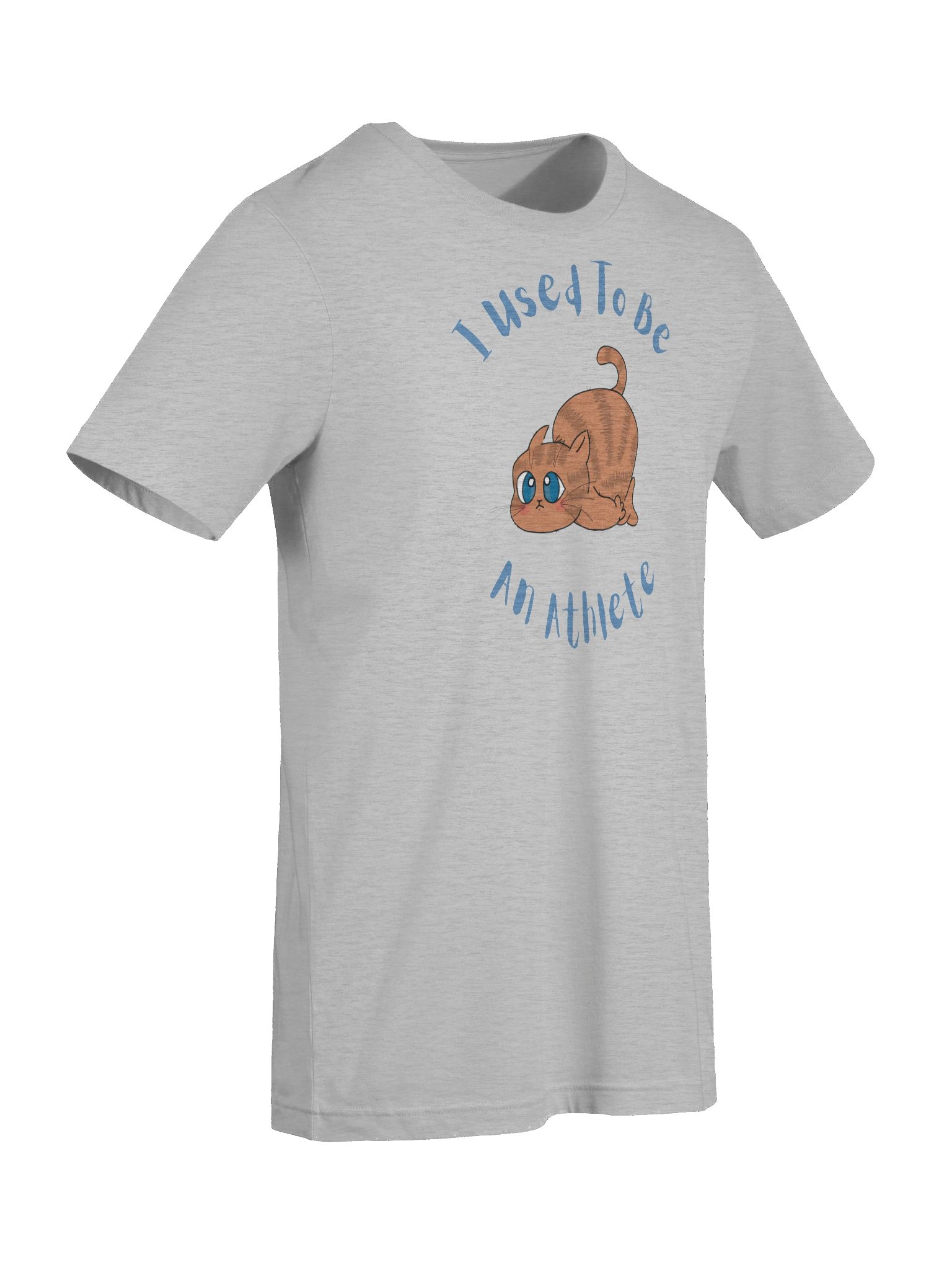 Chubby Cat Confession Tee product image (9)
