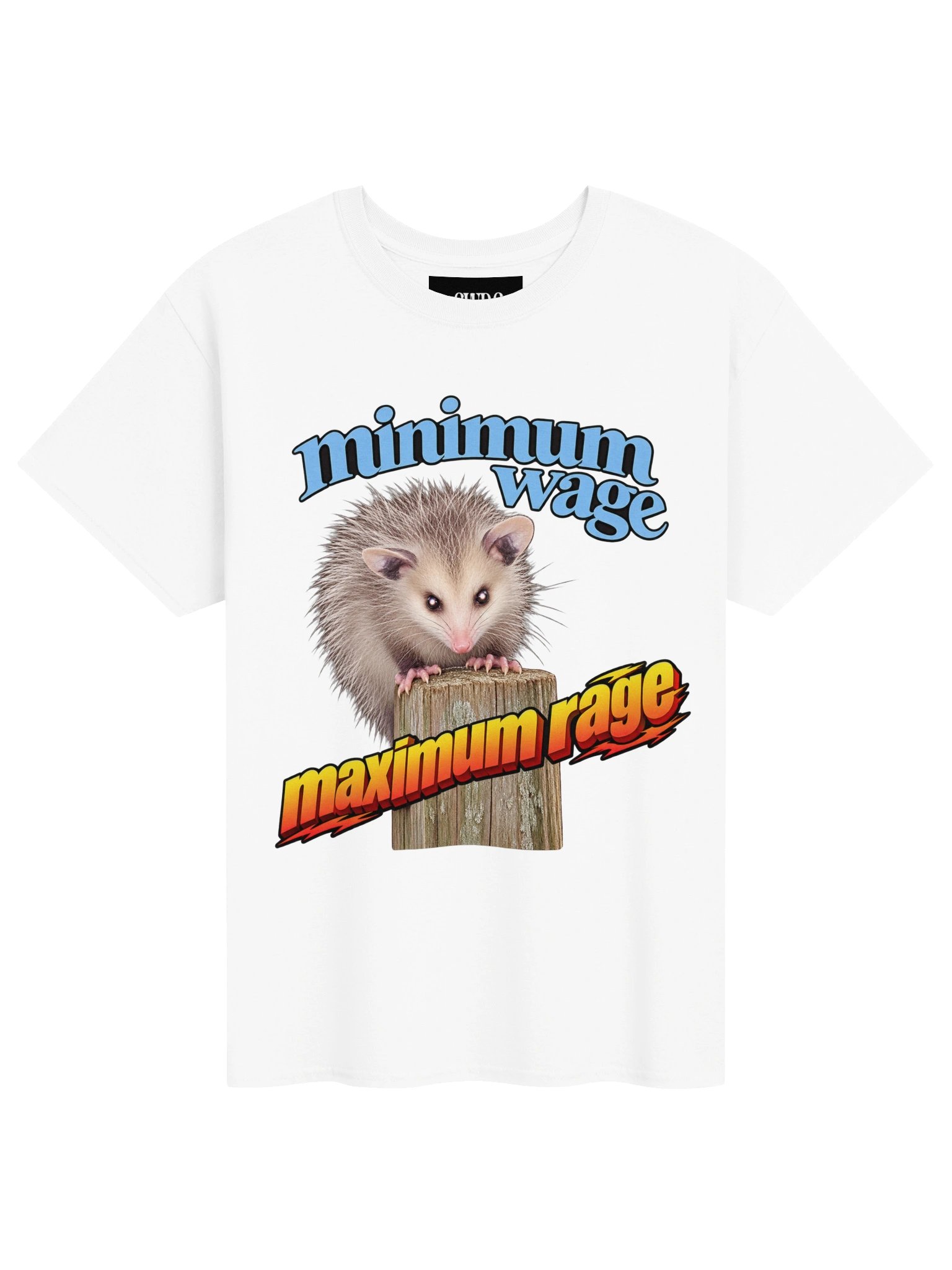 Minimum wage, maximum rage product image (31)