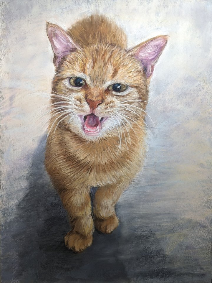 Meow product image (1)
