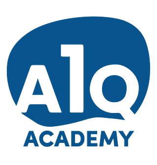 A1Q SOLUTIONS LLC