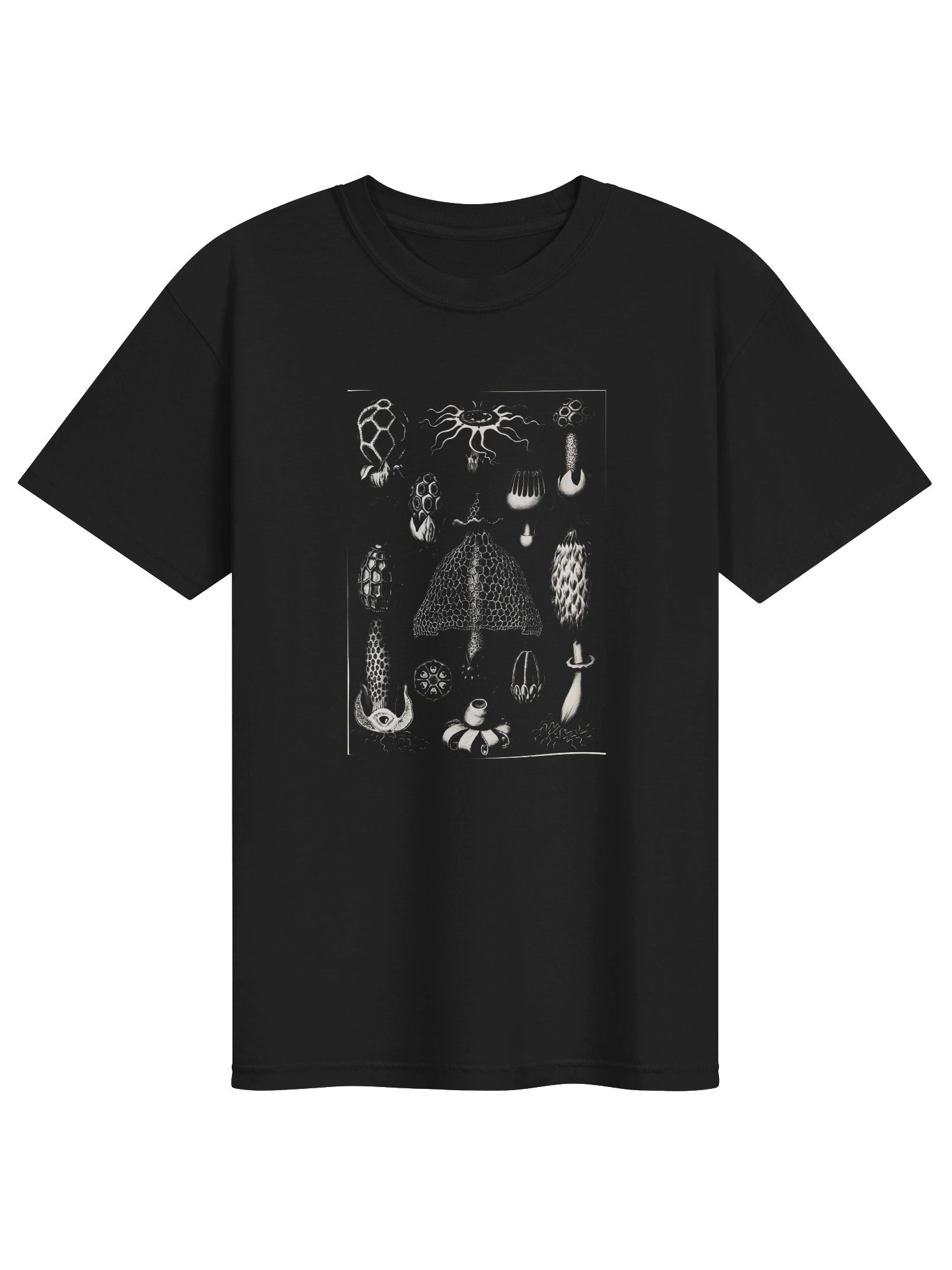 Stinkhorn Fungi Vintage Scientific Illustration T-Shirt product image (1)