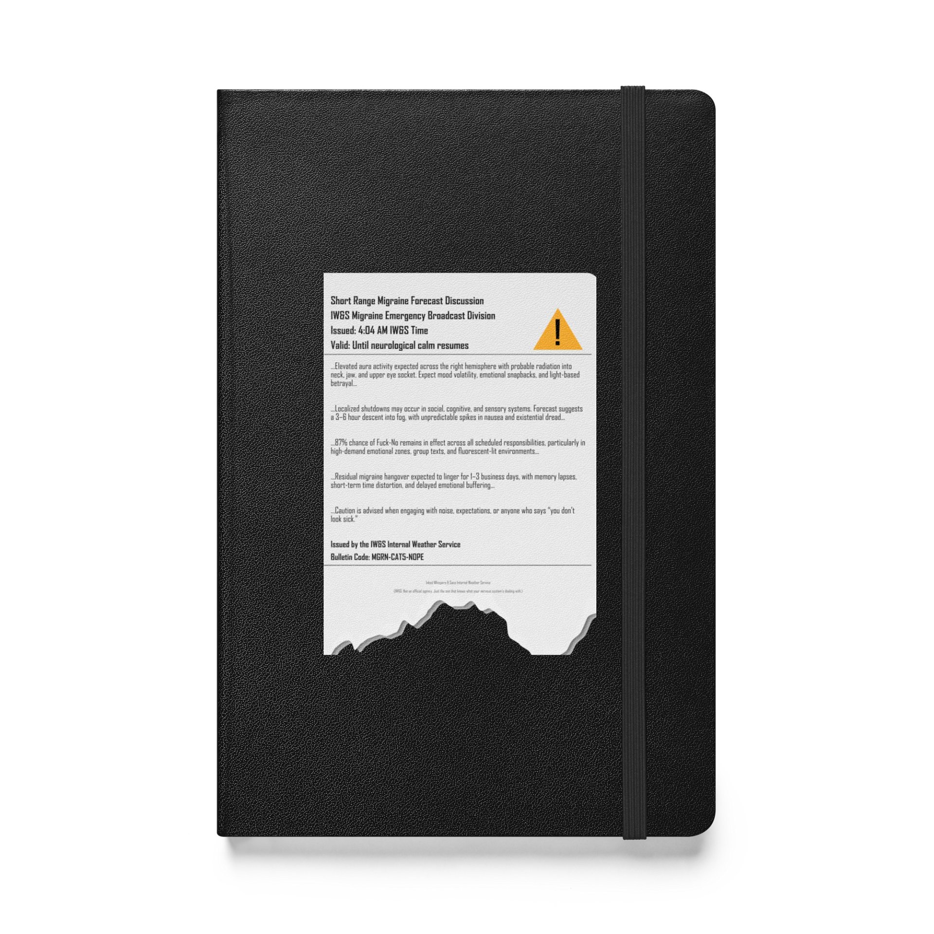 Emotional Weather Warnings | IWS Forecast Notebook for Migraine, Overstimulation & Neurodivergent Days product image (1)