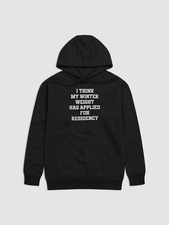 I Think My Winter Weight Has Applied For Residency Hoodie product image (9)