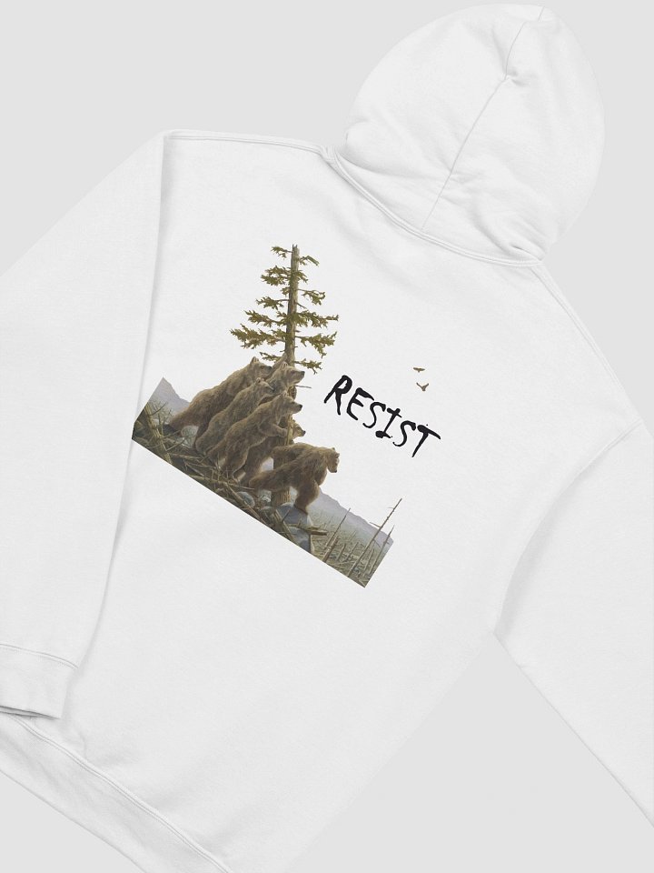 BEARS RESIST! Pullover Hoodie Alt National Parks Gear NEW DESIGN product image (29)
