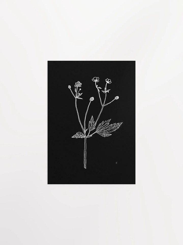 Botanical Bliss Matte Poster - Wild Flowers Dark Stylish product image (1)