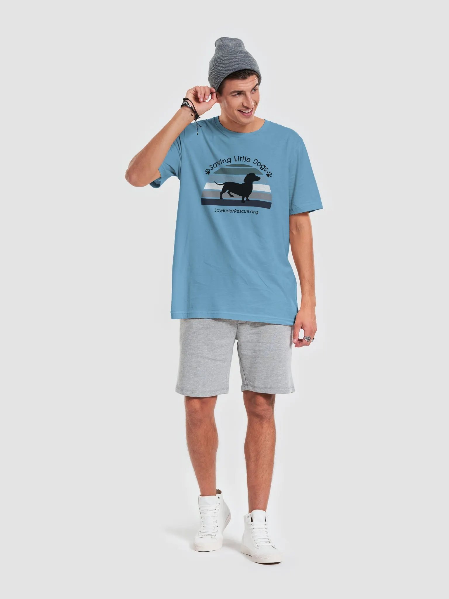 Sunset Rainbow Low Rider Dachshund Rescue T 2 product image (2)