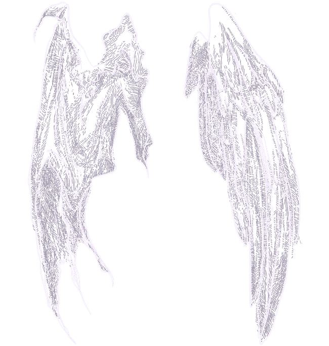 Wings Collection