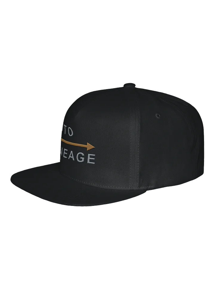 Auto Lineage Snapback Hat product image (2)