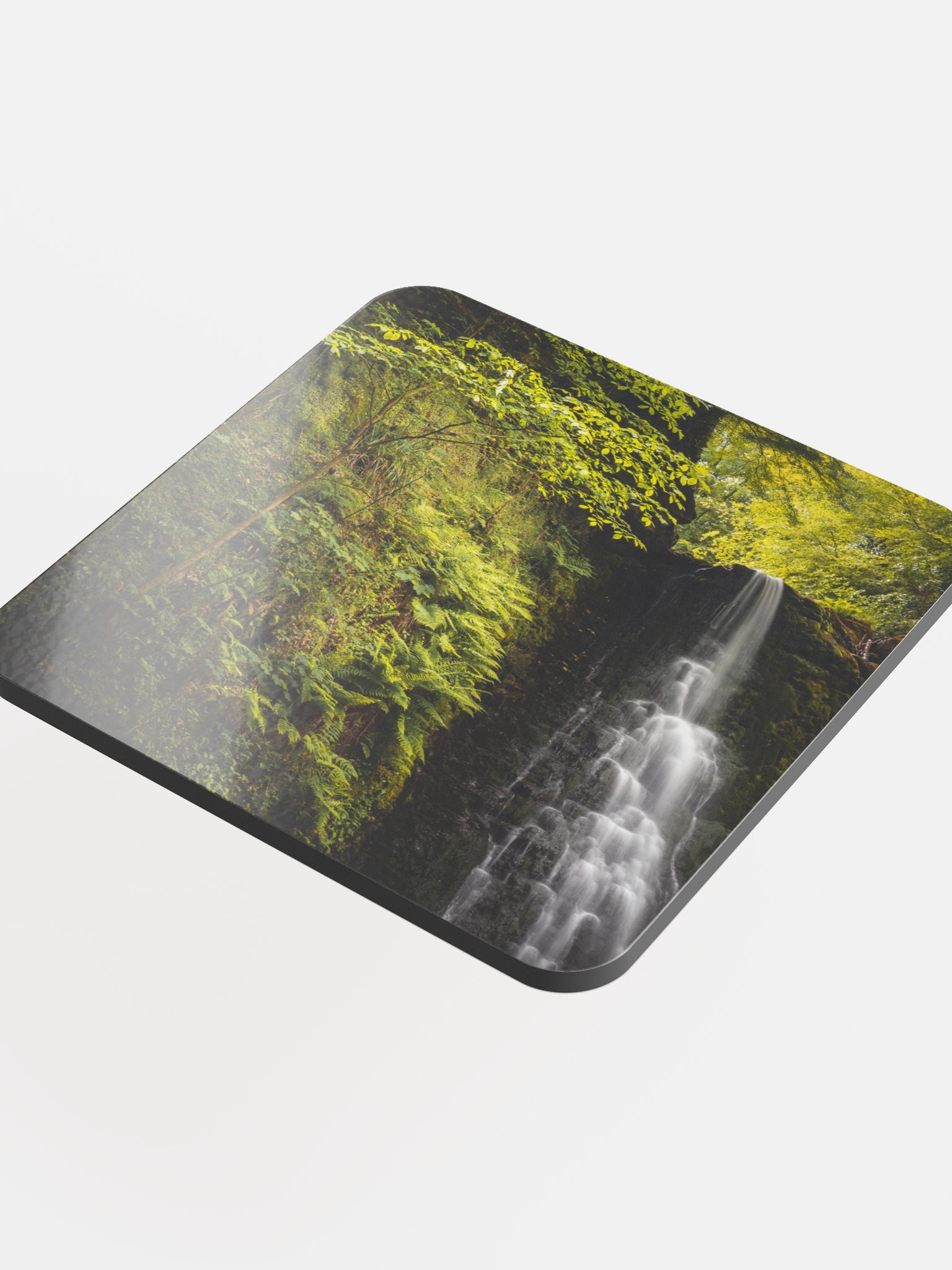 Falling Foss Sappling product image (4)