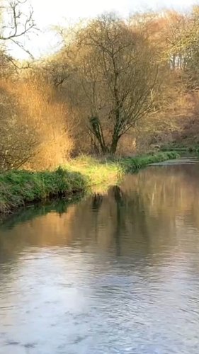 May the flow be with you 🌊

Nature's ASMR at its best 😴

Chalk stream. Watercress beds. Peaceful 🌿

Water sounds for deep rel...