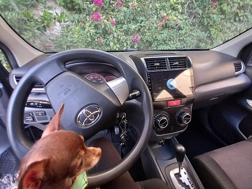 With @toyota we just got recognized as one of their Top Fans! 🎉

The Dog Tank would like to accept this honor with tremendous...