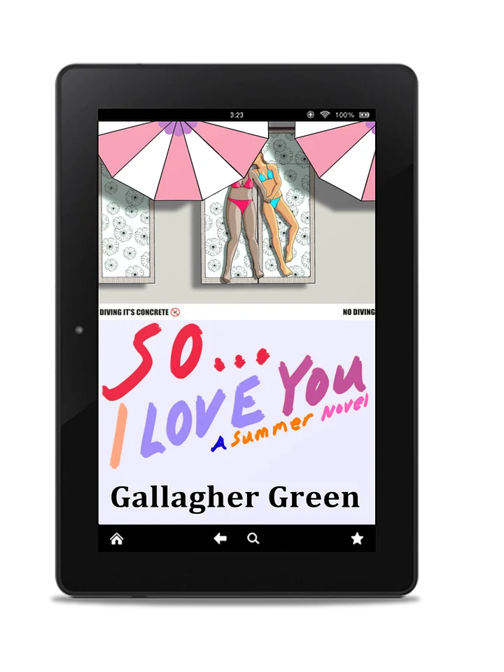 So... I Love You: A Summer Novel (eBook) product image (1)