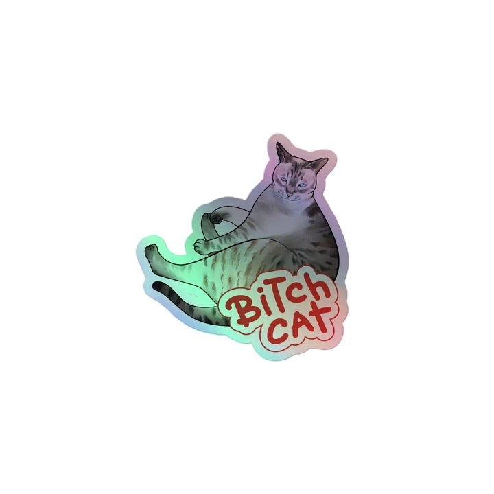 Special Edition Holographic Bitch Cat product image (1)