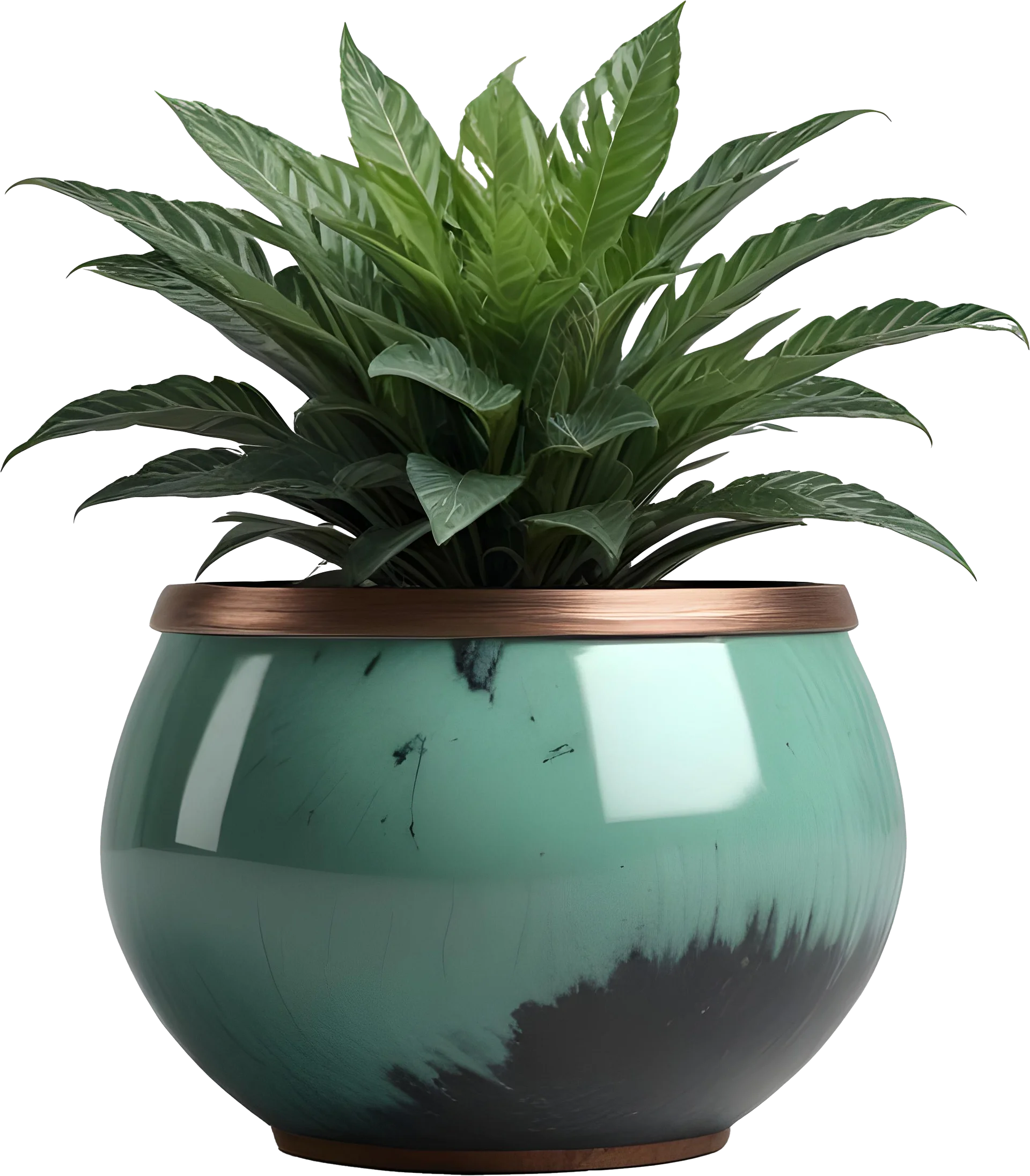 Jade Signature – Gradient Planter PNG product image (1)