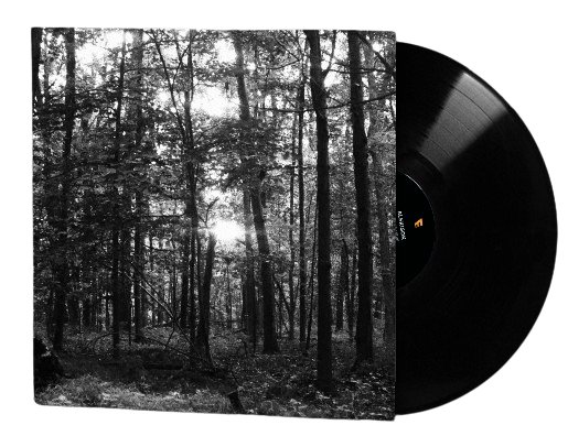 Always Here Vinyl product image (1)