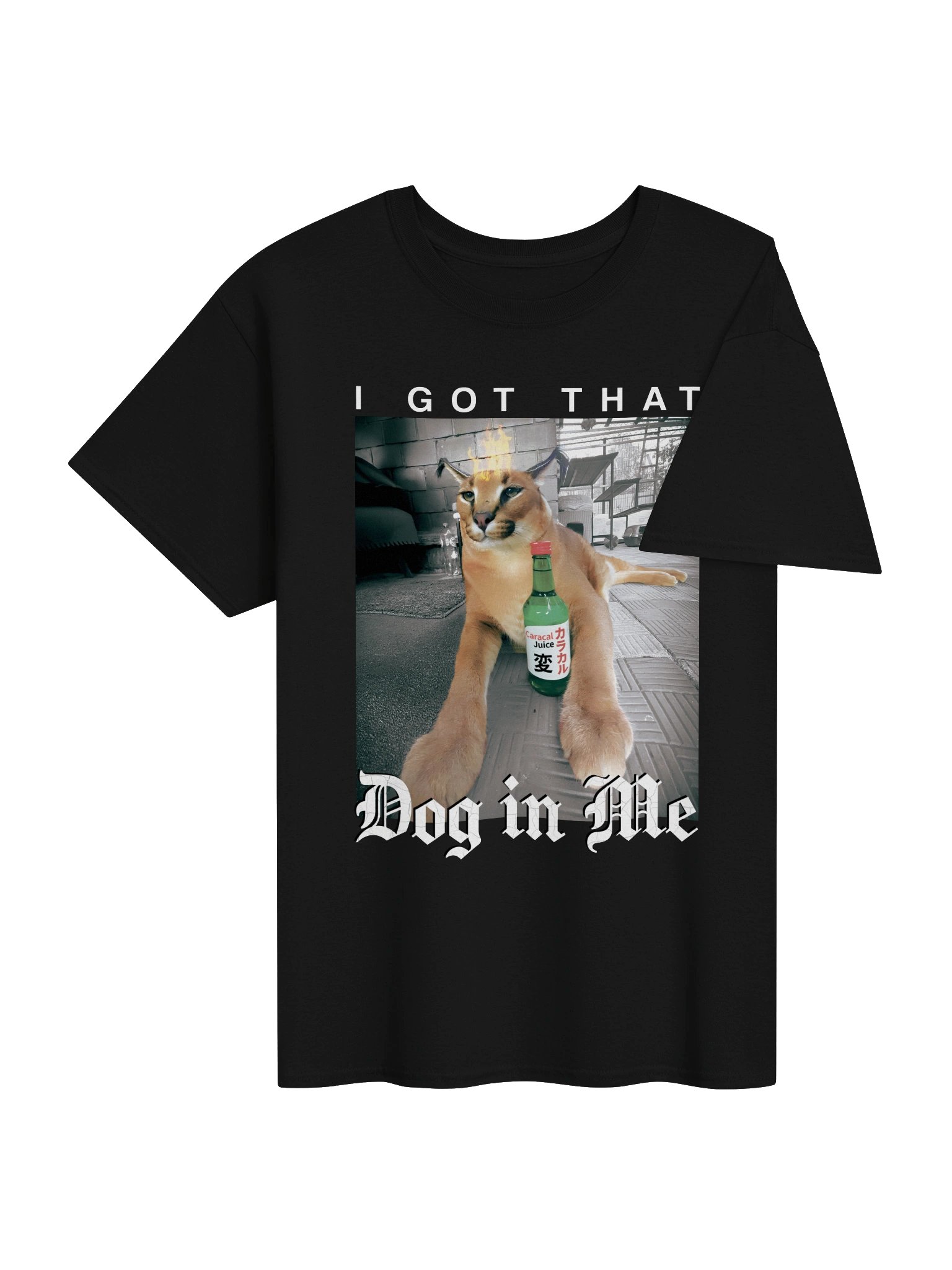 "I GOT THAT DOG IN ME" Classic T-Shirt product image (4)