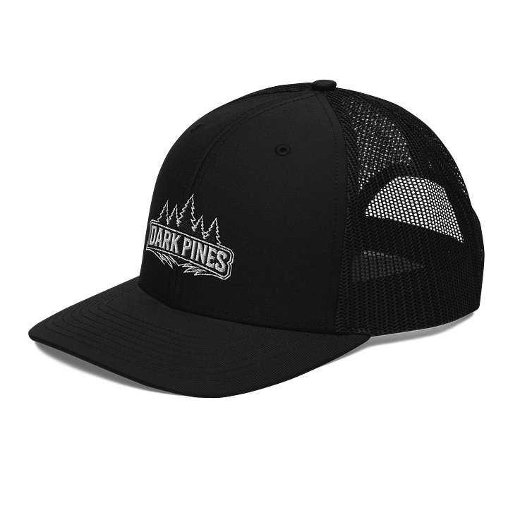 DP Snapback product image (2)
