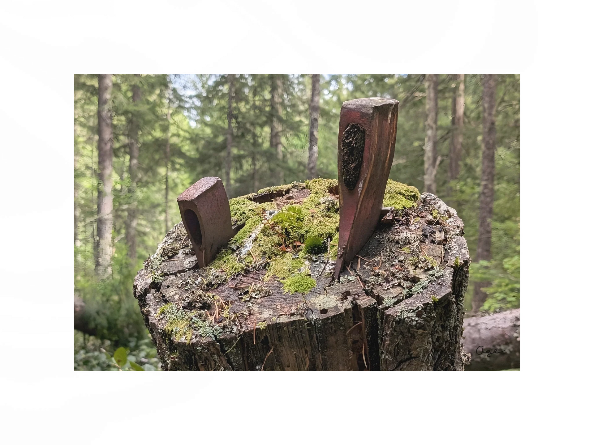 Left Behind - Fine Art Print product image (1)