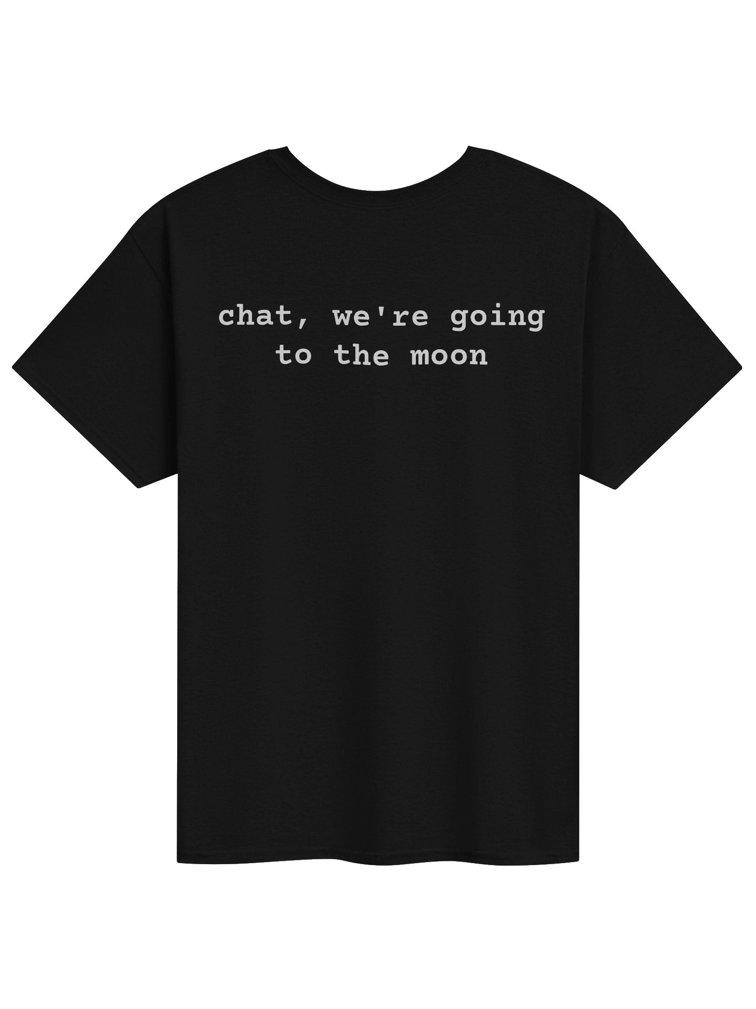 Chat, We're Going to the Moon Shirt