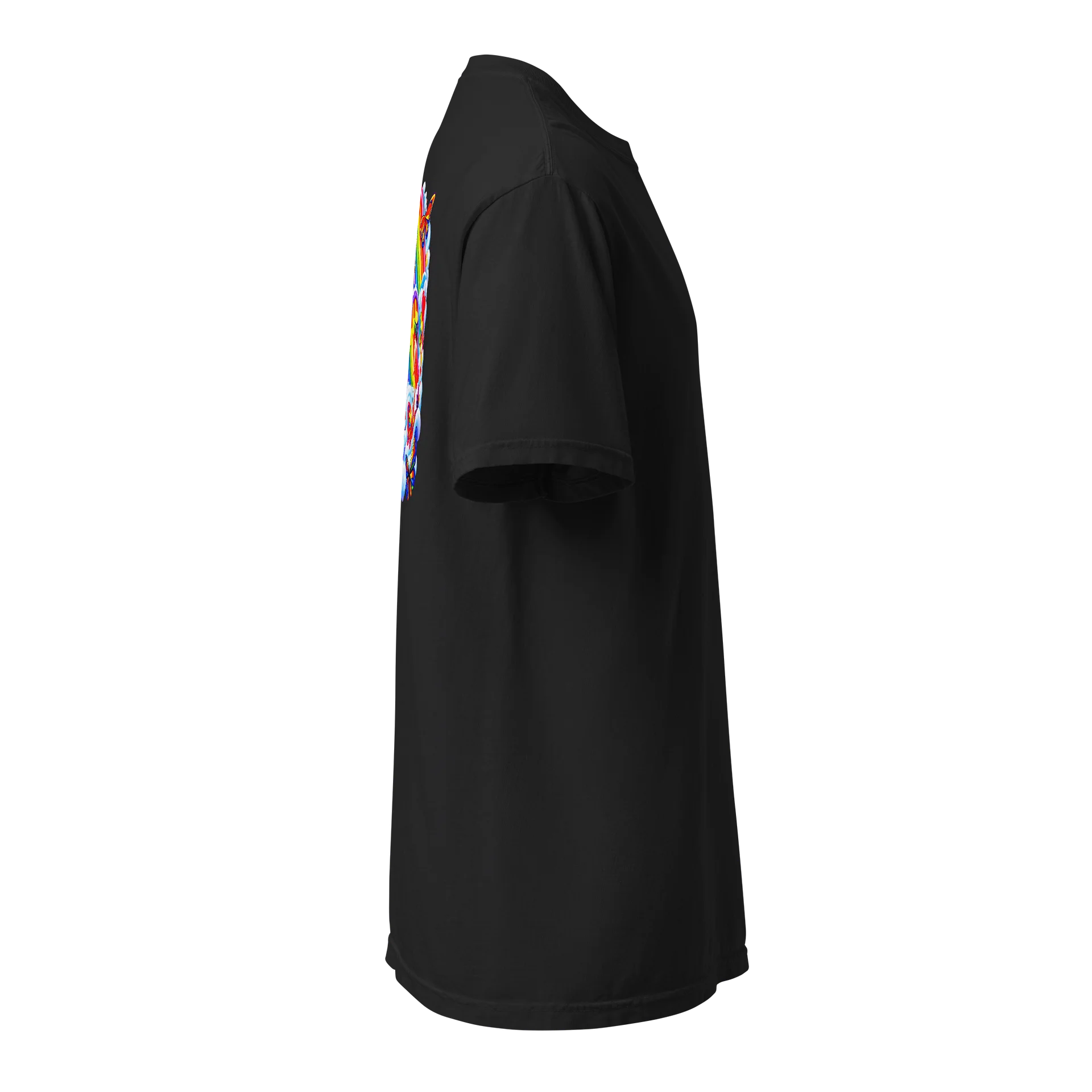 Rainbow Heavyweight Tee product image (5)