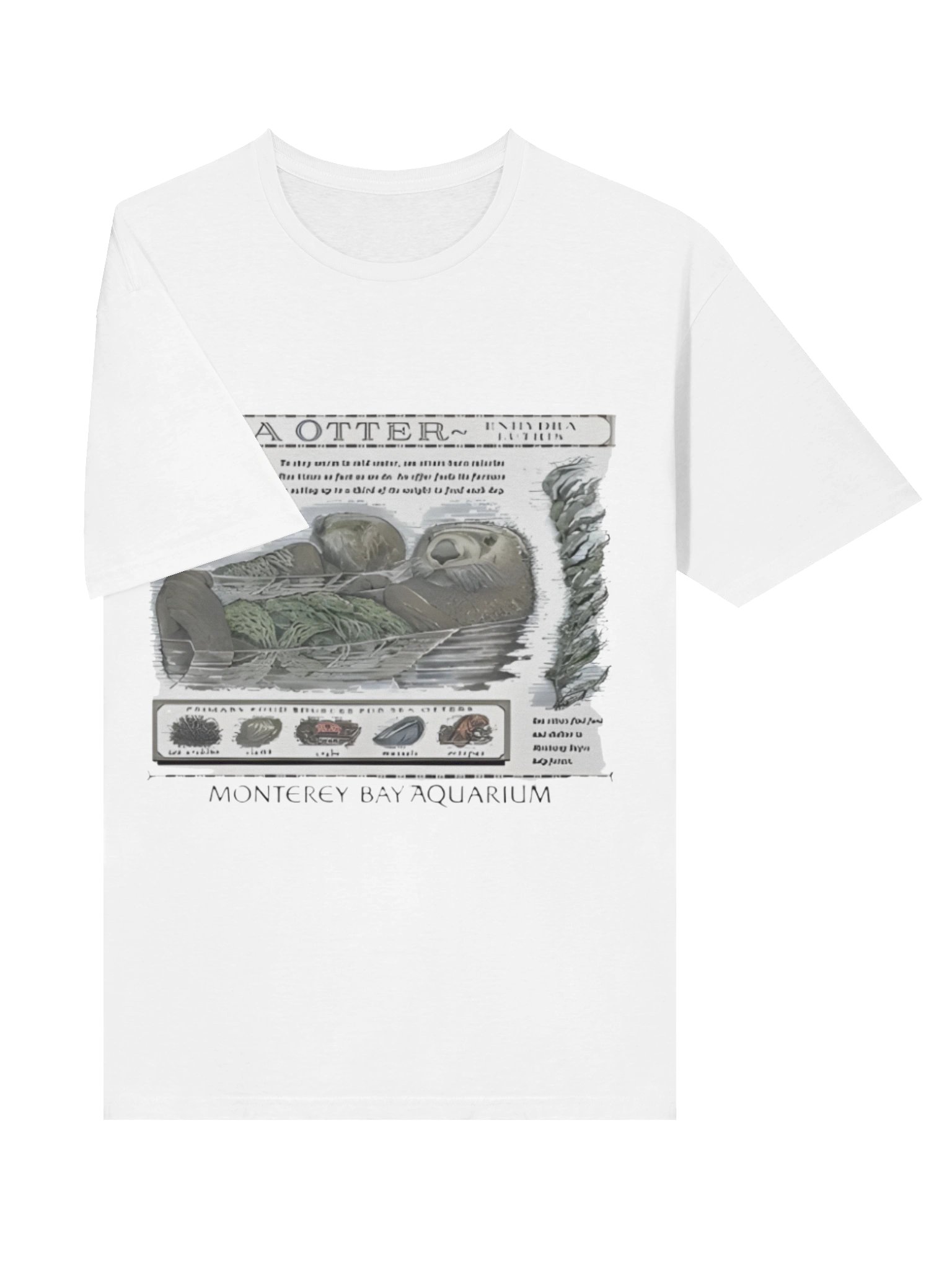 Sea Otter Monterey Bay Aquarium Shirt product image (10)