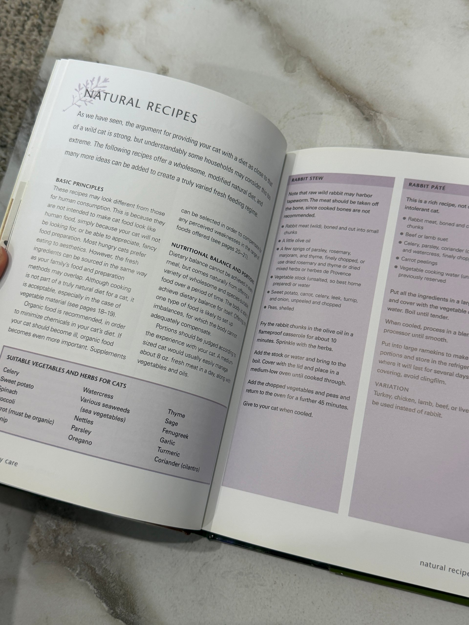 2010 | Natural Cat Care | Christopher Day | First Printing Hardcover product image (5)