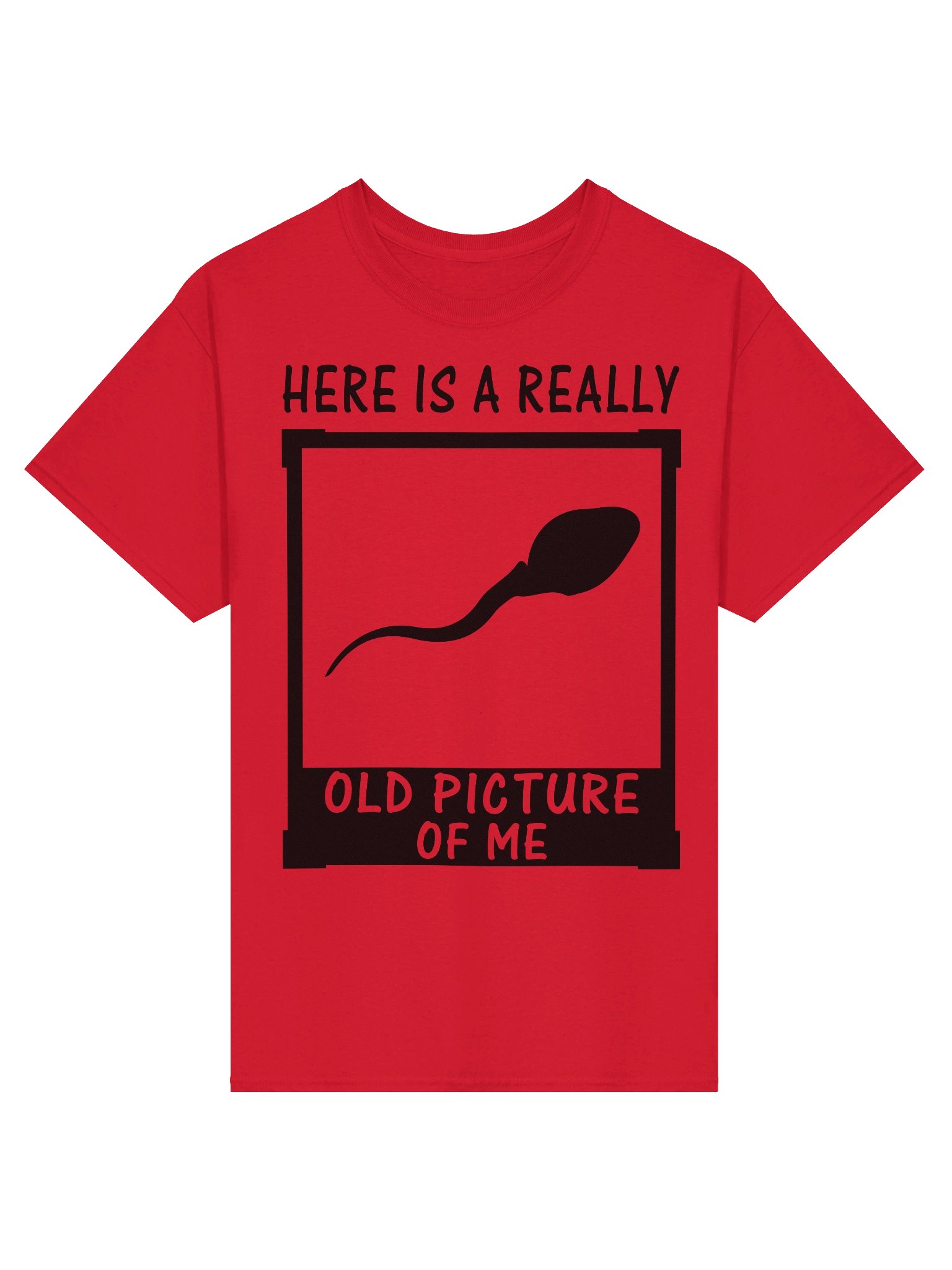 Here Is A Really Old Picture Of Me Shirt product image (3)