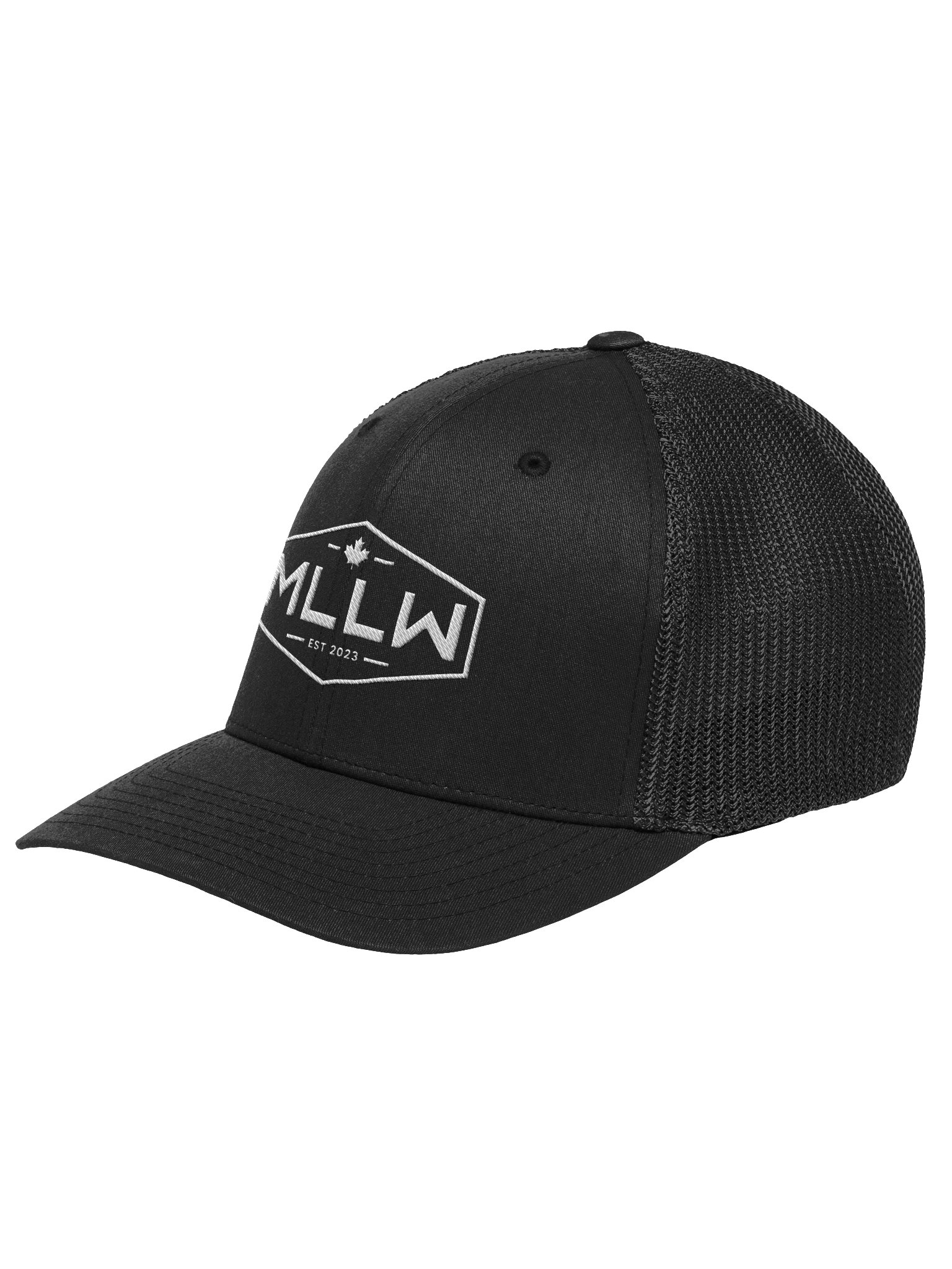MLLW Varsity Fitted Hat product image (2)