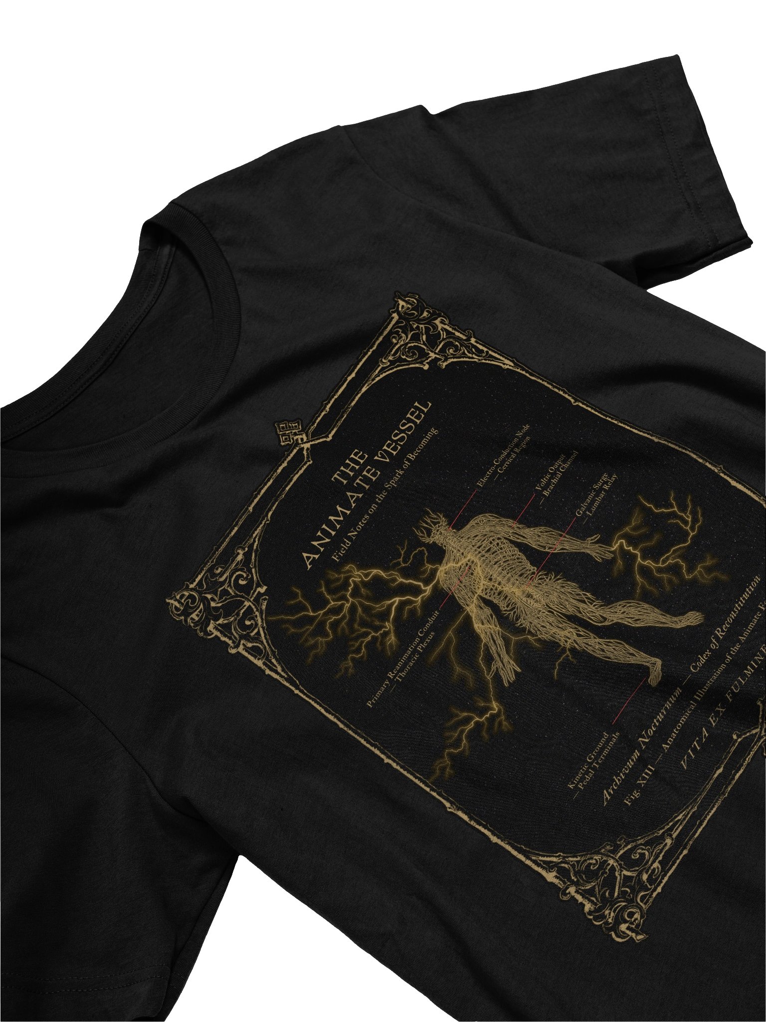 Gothic Anatomy Series: Reanimate XIII T- Shirt product image (3)
