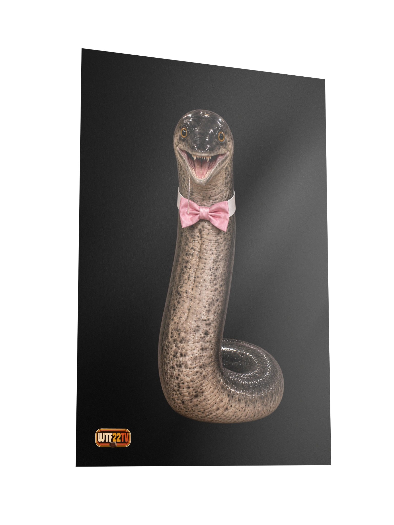 Official_The Eel_Poster ™ product image (2)