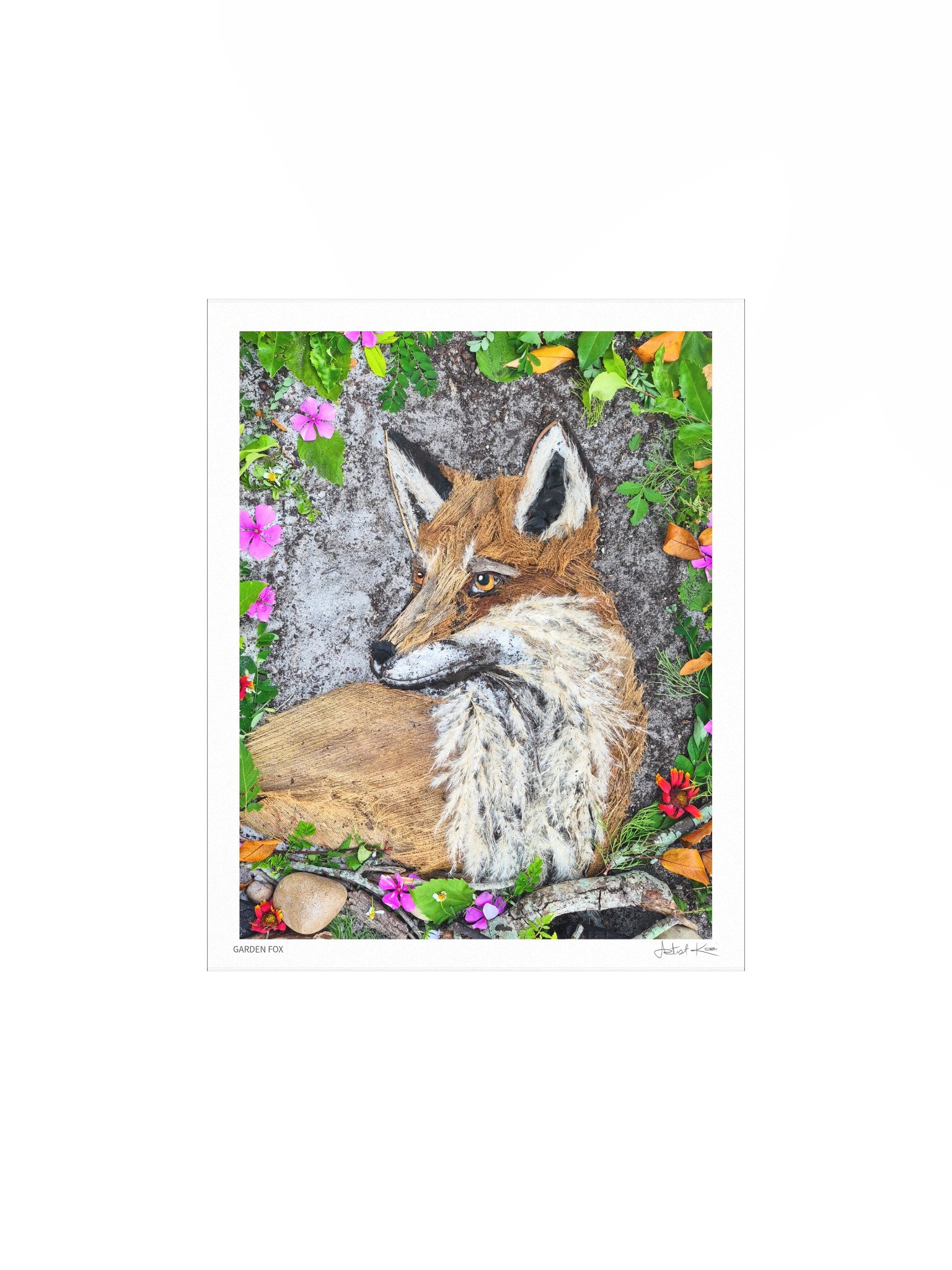 GARDEN FOX | Fine Art Print product image (4)