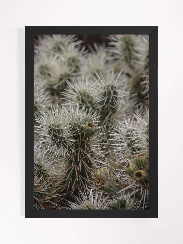 🌵 Fine Art – Underneath the Armor product image (1)