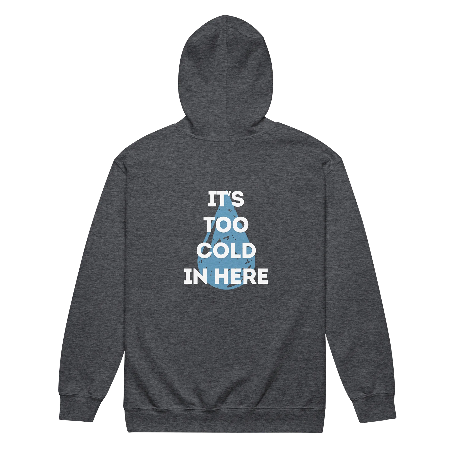 It's Too Cold In Here - Full Zip Hoodie product image (10)