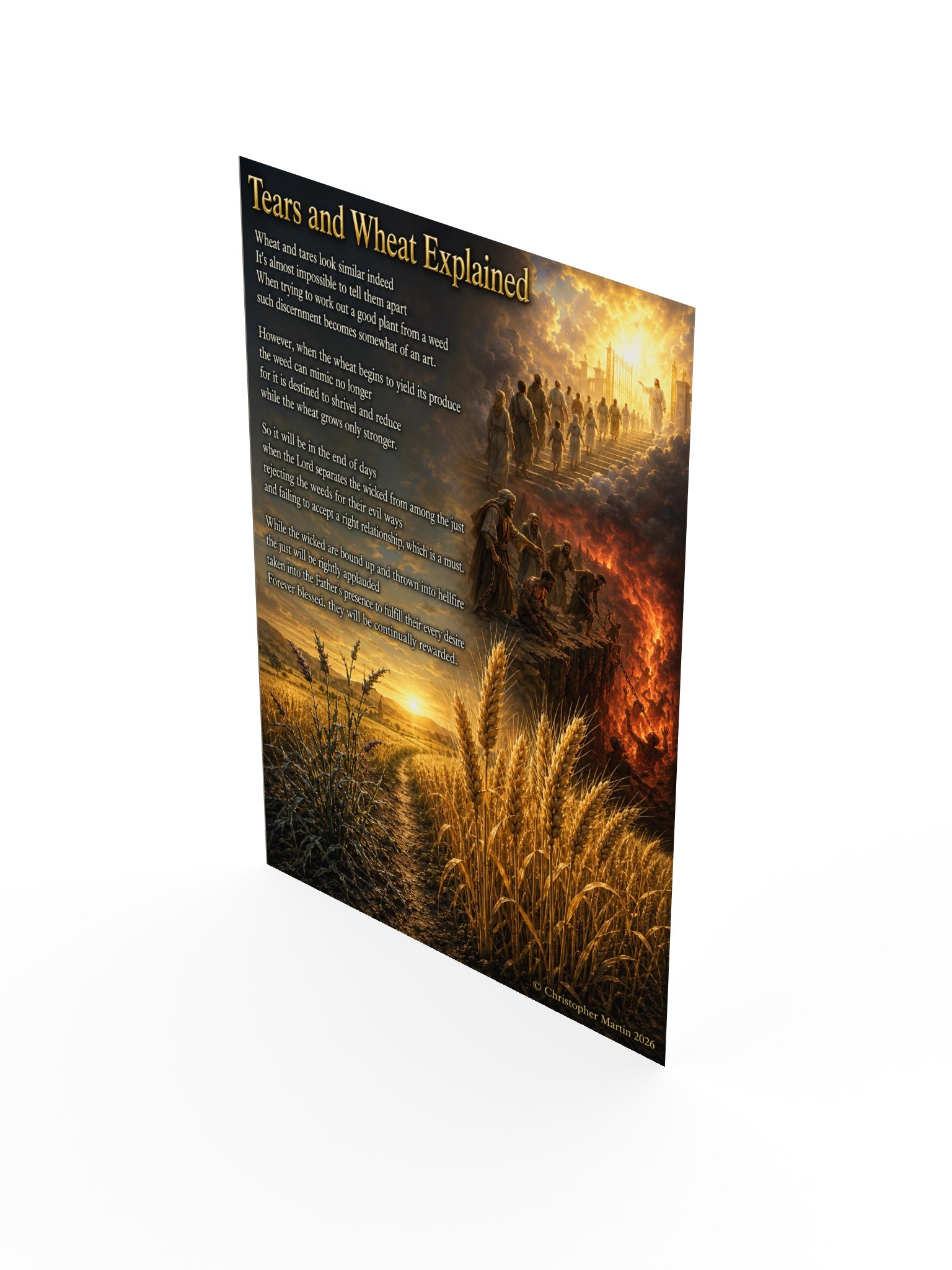 Tares and wheat explained product image (3)