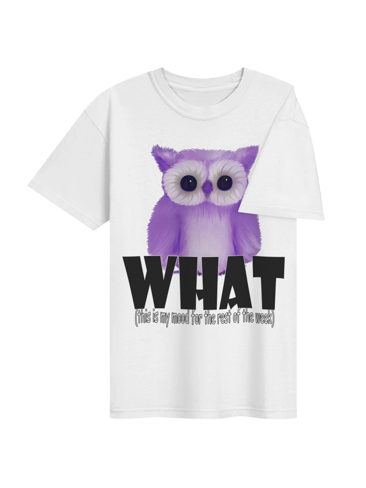 Owl "WHAT" T-Shirt. Men's Comfort Colors Garment-Dyed Heavyweight T-Shirt product image (3)