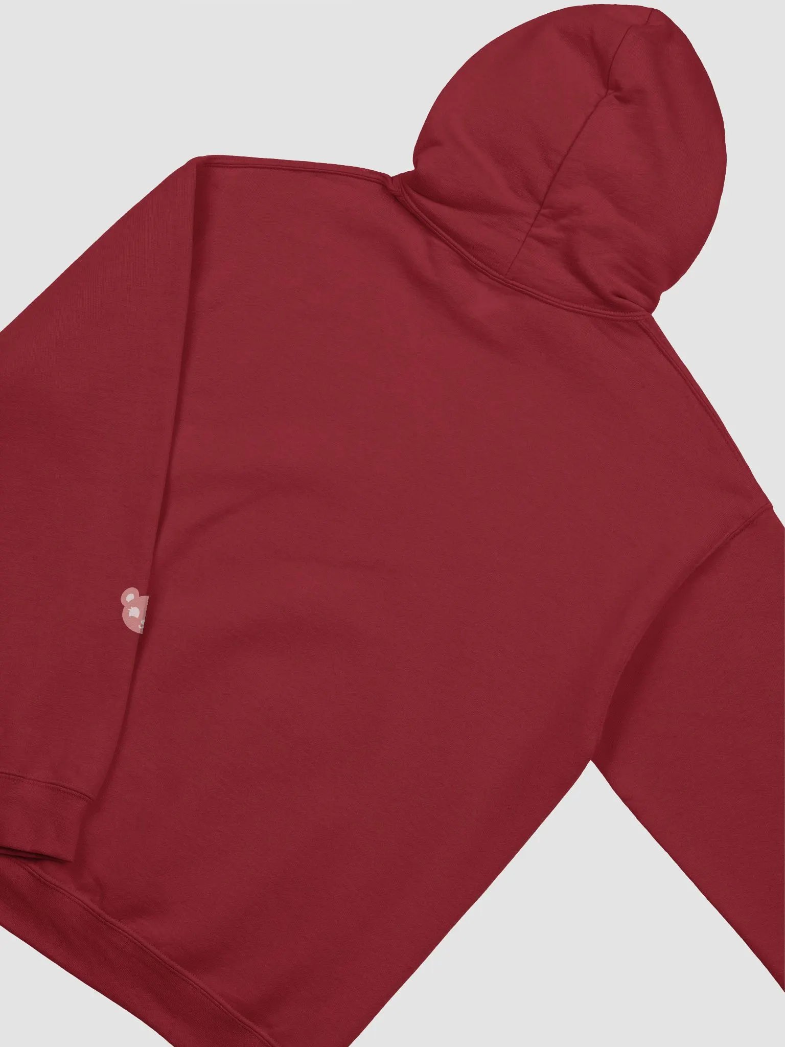 TeddyChan Logo Hoodie product image (4)